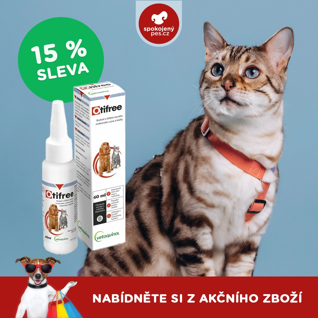 cat veto.webp